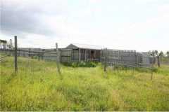 livestock-barns