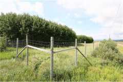 trees-and-pasture-land