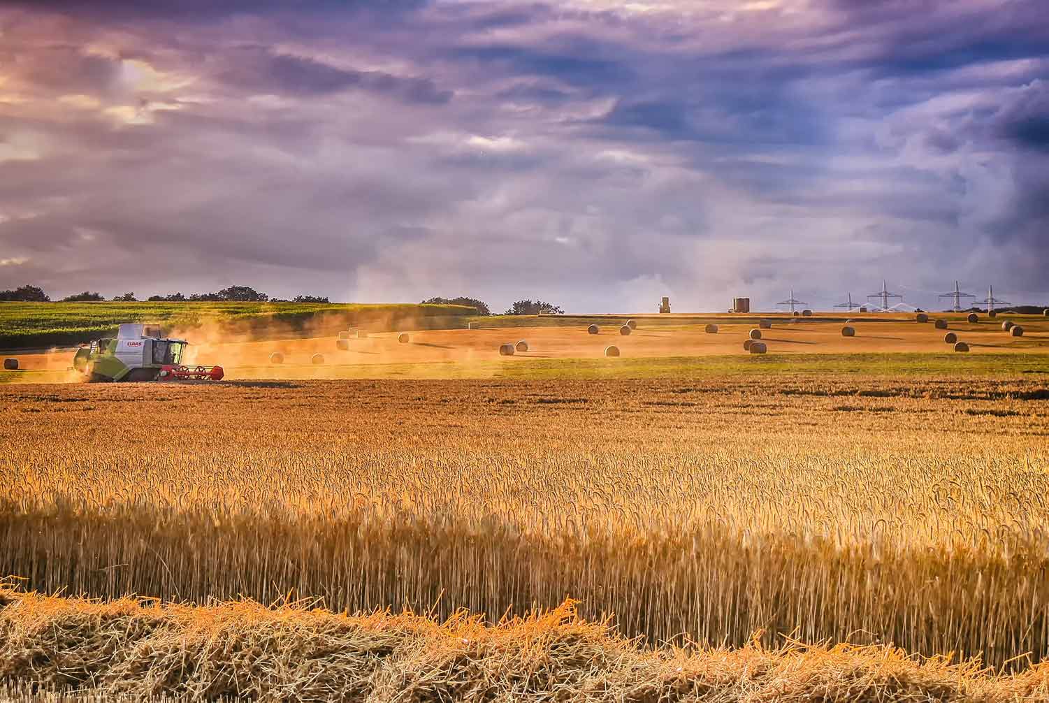 Agriculture in Canada 2021 Stats