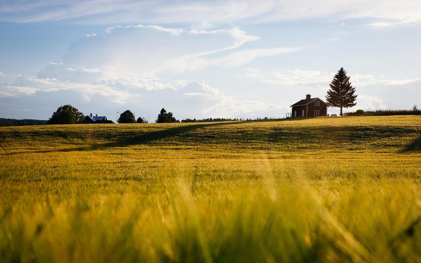 barn farm field agriculture blog