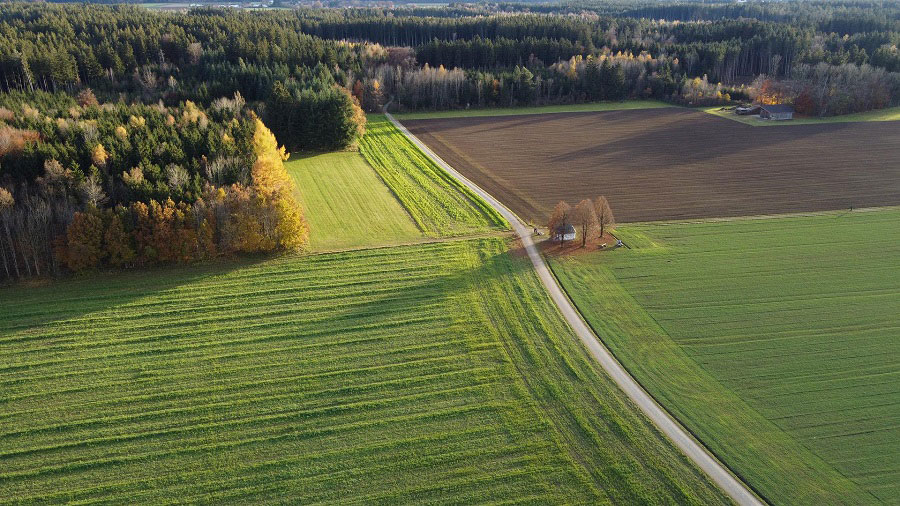 Agriculture Farmland Field