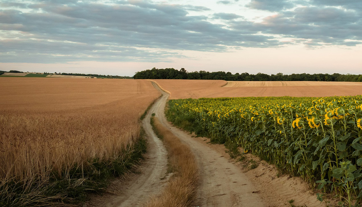 Politics and Agriculture in Canada